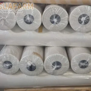 Báo giá nilong lót sàn đổ bê tông