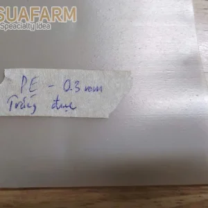 Màng PE 0.3mm trắng cho dự án