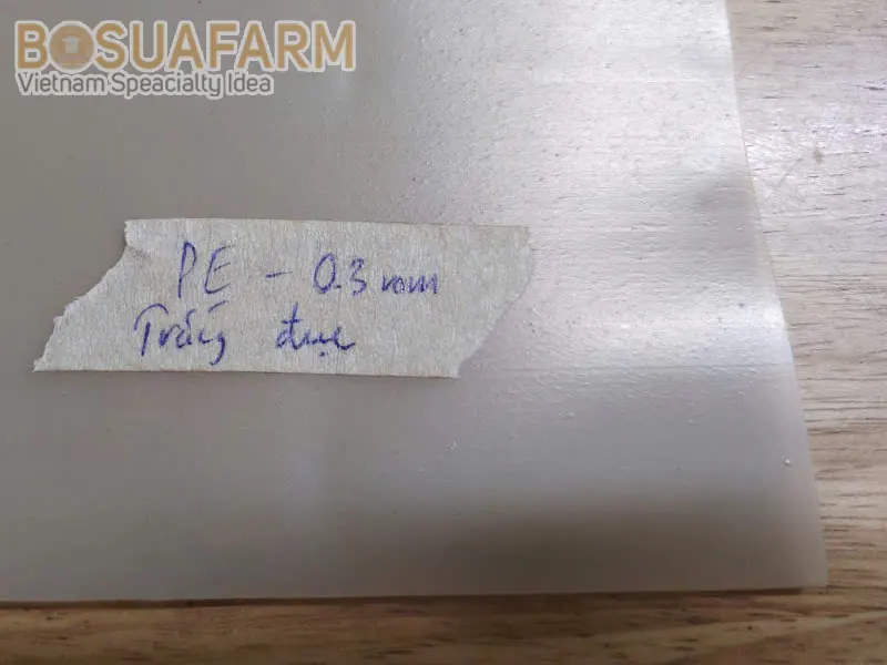 Màng PE 0.3mm trắng cho dự án
