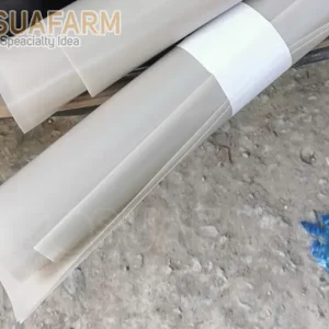 Màng PE dày 0.2mm hàng đặt dự án